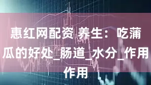 惠红网配资 养生：吃蒲瓜的好处_肠道_水分_作用
